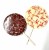 Milk Chocolate Floral Lolly
